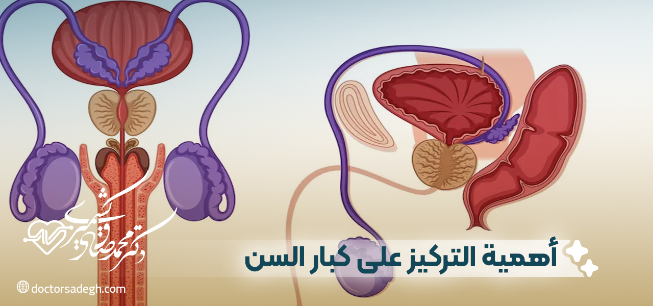 أهمية التركيز على كبار السن